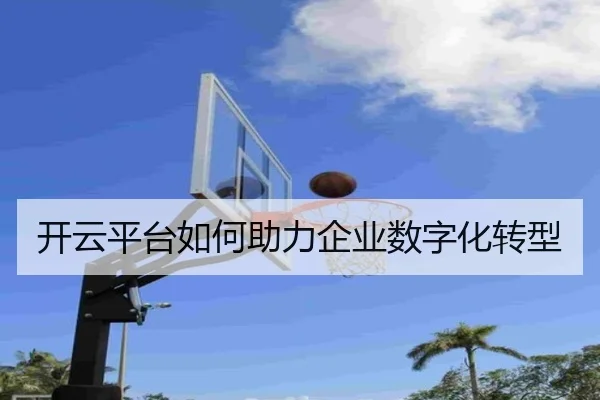 开云平台如何助力企业数字化转型